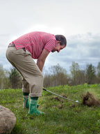 Golf Men's Crew Socks